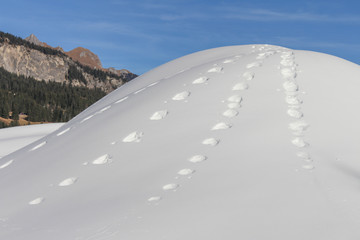 Foot prints snow hill