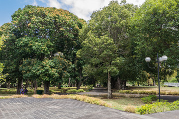 Pamplemousses botanical garden, Mauritiua