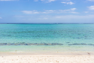 Fototapeta na wymiar Idyllic beach on the coast of Mauritius