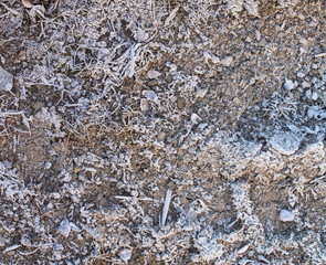 earth snow texture