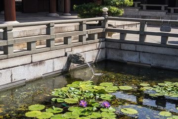 Dragon head blow water in Chi lin nunnery temple, Diamond Hill, Hong Kong