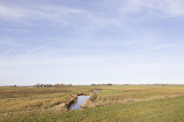 ditch and meadows in waterland near uitdam in noord-holland