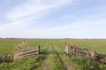 gate and meadows in waterland near uitdam in noord-holland