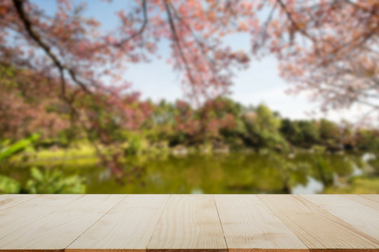 Wooden table top on blurred cherry blossom tree and lake background