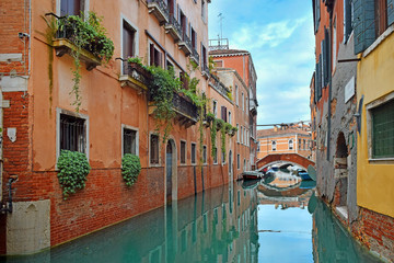 Fototapeta na wymiar landscape with bridge, Venice