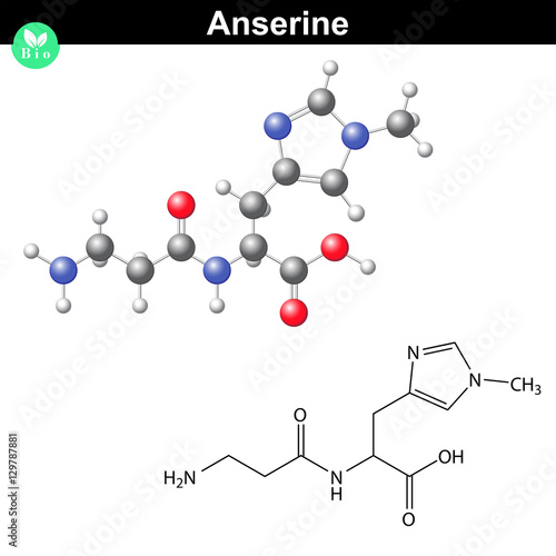 "Anserine natural peptide molecule" Stock image and royaltyfree vector