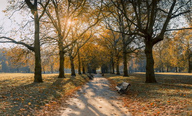 Autumn at green park