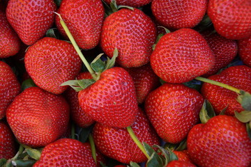 Erdbeeren makro