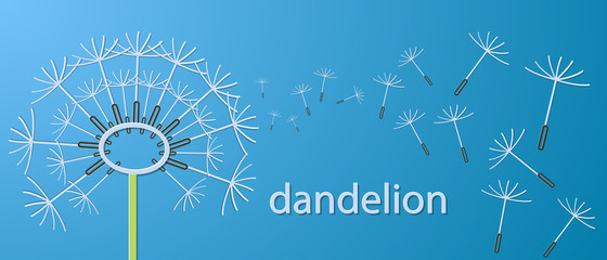 Outline dandelion flowers applique banner. Vector illustration.