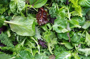Fresh mixed salad field greens piled closeup view - obrazy, fototapety, plakaty