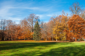 Autumn park with green grass and colorful trees in sunny weather