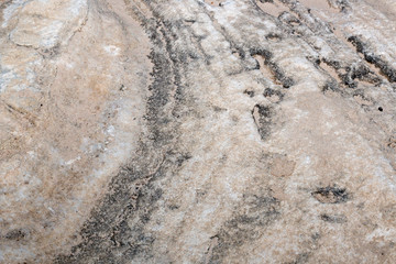 rock pattern background from sea in natural or park