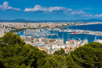 Fototapeta na wymiar Marina and Harbor of Palma de Mallorca