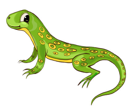 Lizard. Cute character. Cartoon style‰ Stock Illustration | Adobe Stock