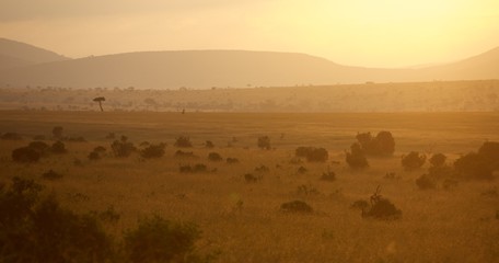 Sunrise in Masai Mara, Kenya