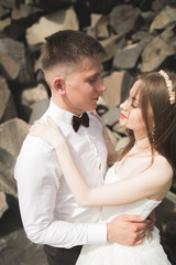 Wedding couple in love kissing and hugging near rocks on beautiful landscape