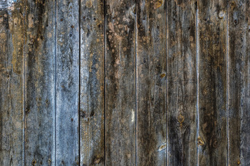 Old cracked wood door as background