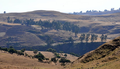 Fototapeta na wymiar Ethiopian landscape with mountains