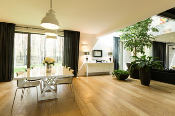 Spacious room with table and plants