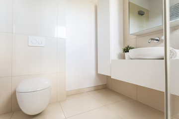 Naklejka na ściany i meble Minimalist bathroom with modern toilet