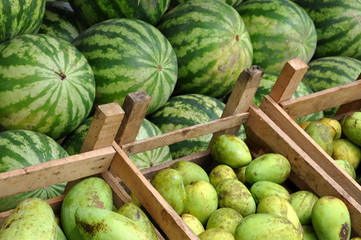 watermelon and mangos in market in Suriname 