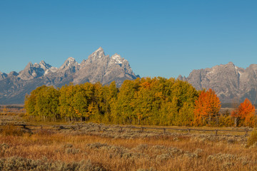 Scenic Teton Landscape in Fall