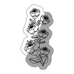 Flowers icon. Decoration garden ornament and nature theme. Isolated design. Vector illustration