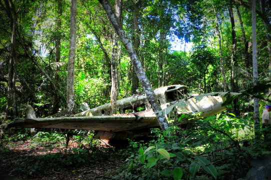 Crashed plane in jungle Amazon rain forest in Suriname