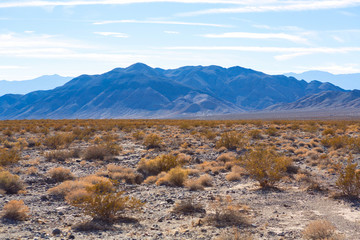 moutain and bush around Racetrack playa