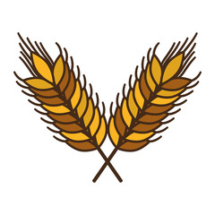 Wheat ear icon. Food grain agriculture and natural theme. Isolated design. Vector illustration