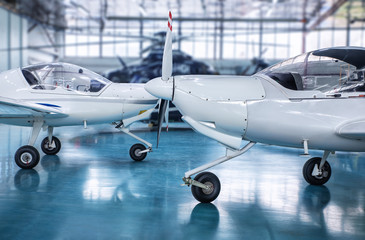 sporting aircrafts in the hangar - obrazy, fototapety, plakaty