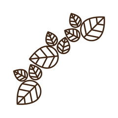 Leaves icon. Decoration garden ornament and nature theme. Isolated design. Vector illustration