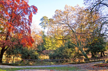 Paesaggio autunnale giardini Villa Reale Monza