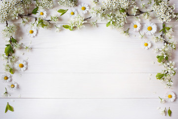 White wooden background with spring flowering branches of plums, cherries and flowers daisies,...