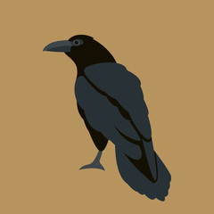 Raven vector illustration style Flat