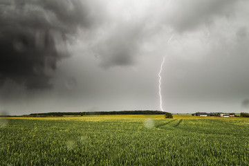 Lightning Storm Over The Field