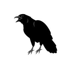 Raven vector illustration style Flat