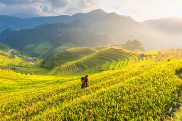 Fotobehang Boer in rijstvelden op terrassen van Vietnam. De rijstvelden bereiden de oogst voor op de landschappen van Noordwest-Vietnam.Vietnam. © jitipeera