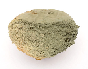 slice of bread covered with mold