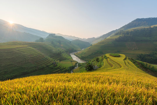 Morning Light and beautiful nature of rice field on terrace in Vietnam Landscape.