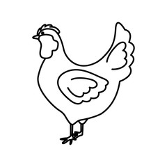 Chicken icon. Animal farm life nature and fauna theme. Isolated design. Vector illustration