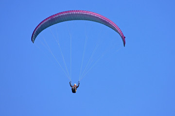 Paraglider