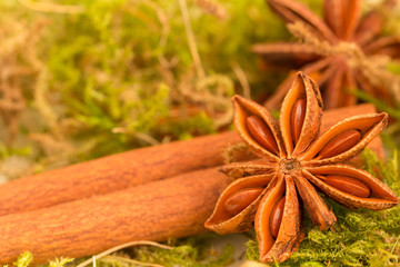 star anise and cinnamon