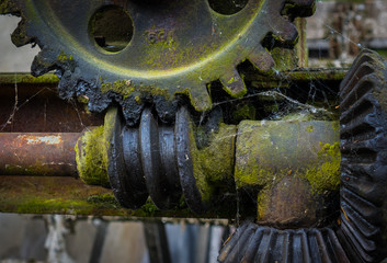  Old and rusty gear in the  sunshine.