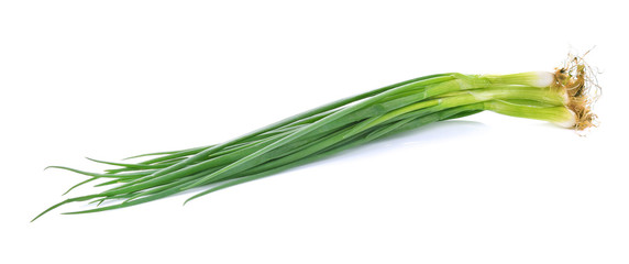 Spring onion