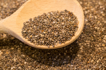 chia seed