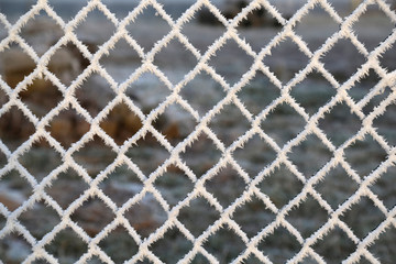 Metal net with hoarfrost