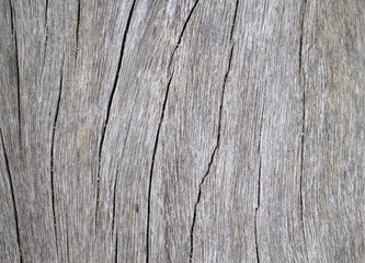 Timber board with weathered cracks ornament