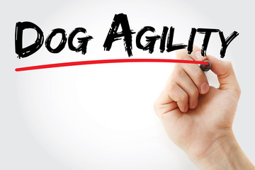 Hand writing Dog agility with marker, concept background