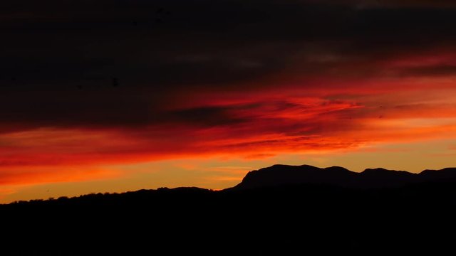 Flights of Waterfowl Above Mountains at Sunset